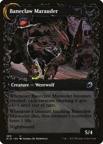 Baneblade Scoundrel // Baneclaw Marauder card back